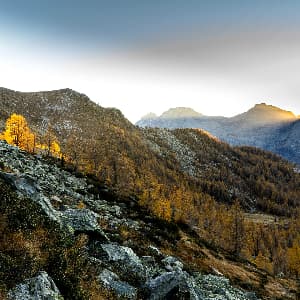 Tania — patient testimonial, Swiss Mountain Clinic