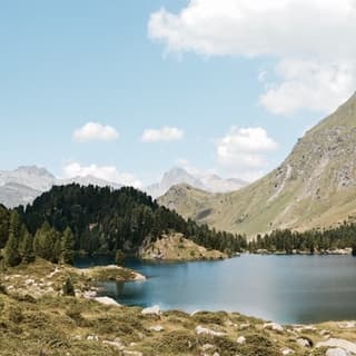 Mary Ann S. — patient testimonial, Swiss Mountain Clinic