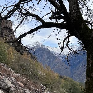 Elisabeth und Rico C. — patient testimonial, Swiss Mountain Clinic