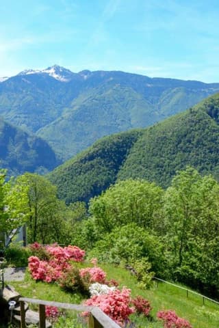 A.K. — patient testimonial, Swiss Mountain Clinic